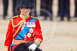 Trooping the Colour 2013: Close-up of HRH The Prince of Wales, Colonel Welsh Guards, on horseback after the Inspection of the Line. Image #374, 15 June 2013 11:07 Horse Guards Parade, London, UK