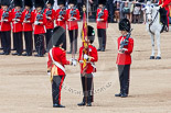 Trooping the Colour 2013: The Colour has been handed over from Colour Sergeant R J Heath, Welsh Guard to the Regimental Sergeant Major, WO1 Martin Topps, Welsh Guards. He now presents the Colour to the Ensign, Ensign, Second Lieutenant Joel Dinwiddle. Image #451, 15 June 2013 11:20 Horse Guards Parade, London, UK