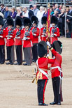 Trooping the Colour 2013: The Ensign, Ensign, Second Lieutenant Joel Dinwiddle, takes posession of the Colour from the Regimental Sergeant Major, WO1 Martin Topps, Welsh Guards. Image #455, 15 June 2013 11:21 Horse Guards Parade, London, UK