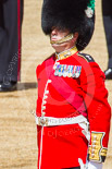 Trooping the Colour 2013: Close-up of the Regimental Sergeant Major, WO1 Martin Topps, Welsh Guards. Image #461, 15 June 2013 11:21 Horse Guards Parade, London, UK