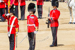 Trooping the Colour 2013: The Ensign, Ensign, Second Lieutenant Joel Dinwiddle, behind him Regimental Sergeant Major, WO1 Martin Topps, Welsh Guards and one of the (unnamed) sentries. Image #463, 15 June 2013 11:21 Horse Guards Parade, London, UK