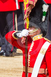 Trooping the Colour 2013: Close-up of Ensign, Second Lieutenant Joel Dinwiddle, in posession of the Colour. Image #464, 15 June 2013 11:21 Horse Guards Parade, London, UK
