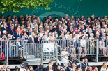 Trooping the Colour 2013 (spectators). Image #1051, 15 June 2013 11:23