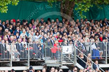 Trooping the Colour 2013 (spectators). Image #1054, 15 June 2013 11:23