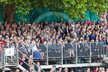 Trooping the Colour 2013 (spectators). Image #1056, 15 June 2013 11:23