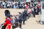 Trooping the Colour 2013 (spectators). Image #1060, 15 June 2013 11:27