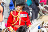 Trooping the Colour 2013: A close-up of the Field Officer in Brigade Waiting, Lieutenant Colonel Dino Bossi, Welsh Guards, with his word drawn, during the March Past. Image #542, 15 June 2013 11:36 Horse Guards Parade, London, UK