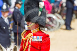 Trooping the Colour 2013: A close-up of the Field Officer in Brigade Waiting, Lieutenant Colonel Dino Bossi, Welsh Guards, with his word drawn, during the March Past. Image #543, 15 June 2013 11:37 Horse Guards Parade, London, UK