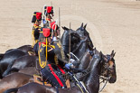 Trooping the Colour 2013: The Ride Past - the King's Troop Royal Horse Artillery. Image #687, 15 June 2013 11:55 Horse Guards Parade, London, UK