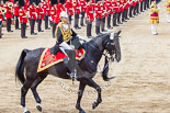 Trooping the Colour 2013: The Third and Forth Divisions of the Sovereign's Escort, The Blues and Royals, during the Ride Past, here Captain R W Hills. Image #733, 15 June 2013 11:59 Horse Guards Parade, London, UK