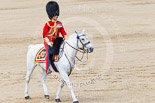 Trooping the Colour 2013: The Field Officer in Brigade Waiting, Lieutenant Colonel Dino Bossi, Welsh Guards, rides towards the dais to ask HM The Queen's permission to march off. Image #787, 15 June 2013 12:07 Horse Guards Parade, London, UK