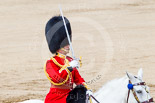 Trooping the Colour 2013: The Field Officer in Brigade Waiting, Lieutenant Colonel Dino Bossi, Welsh Guards, salutes Her Majesty before asking permission to march off. Image #790, 15 June 2013 12:07 Horse Guards Parade, London, UK