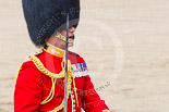 Trooping the Colour 2013: The Field Officer in Brigade Waiting, Lieutenant Colonel Dino Bossi, Welsh Guards, asks HM The Queen's permission to march off. Image #791, 15 June 2013 12:07 Horse Guards Parade, London, UK