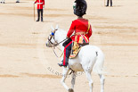 Trooping the Colour 2013: The Field Officer in Brigade Waiting, Lieutenant Colonel Dino Bossi, returns to the guards after HM The Queen has given permission to march off. Image #793, 15 June 2013 12:08 Horse Guards Parade, London, UK