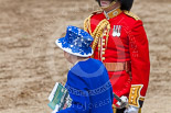 Trooping the Colour 2013: HM The Queen is leaving the dais, walking towards the glass coach. Image #803, 15 June 2013 12:09 Horse Guards Parade, London, UK