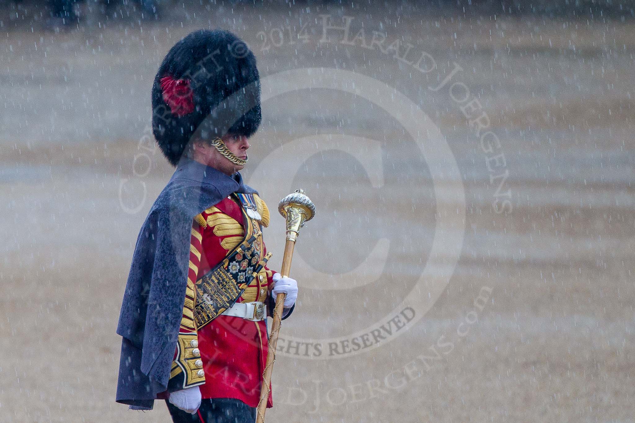 The Colonel's Review 2014.
Horse Guards Parade, Westminster,
London,

United Kingdom,
on 07 June 2014 at 10:04, image #47