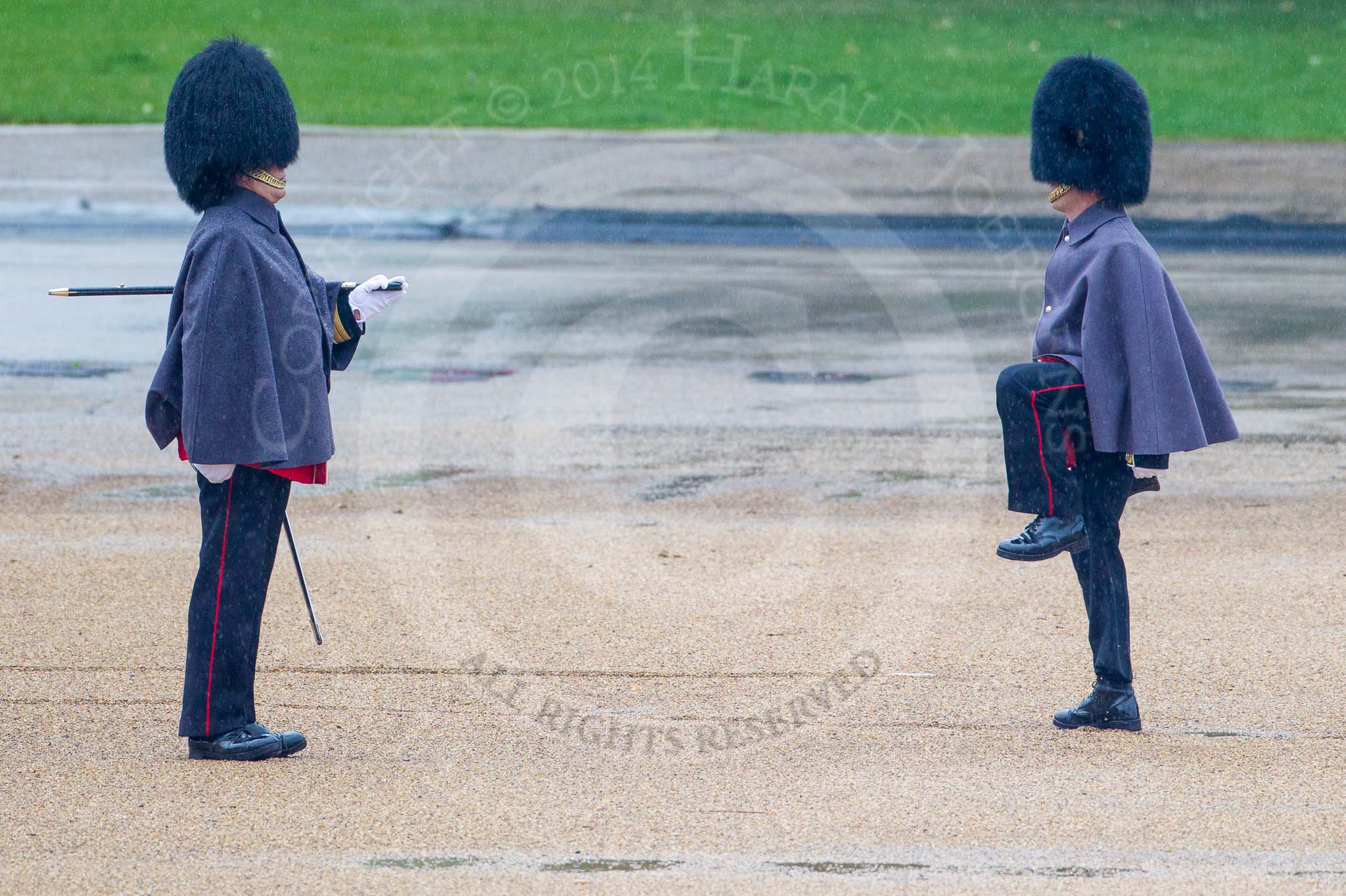 The Colonel's Review 2014.
Horse Guards Parade, Westminster,
London,

United Kingdom,
on 07 June 2014 at 10:09, image #63
