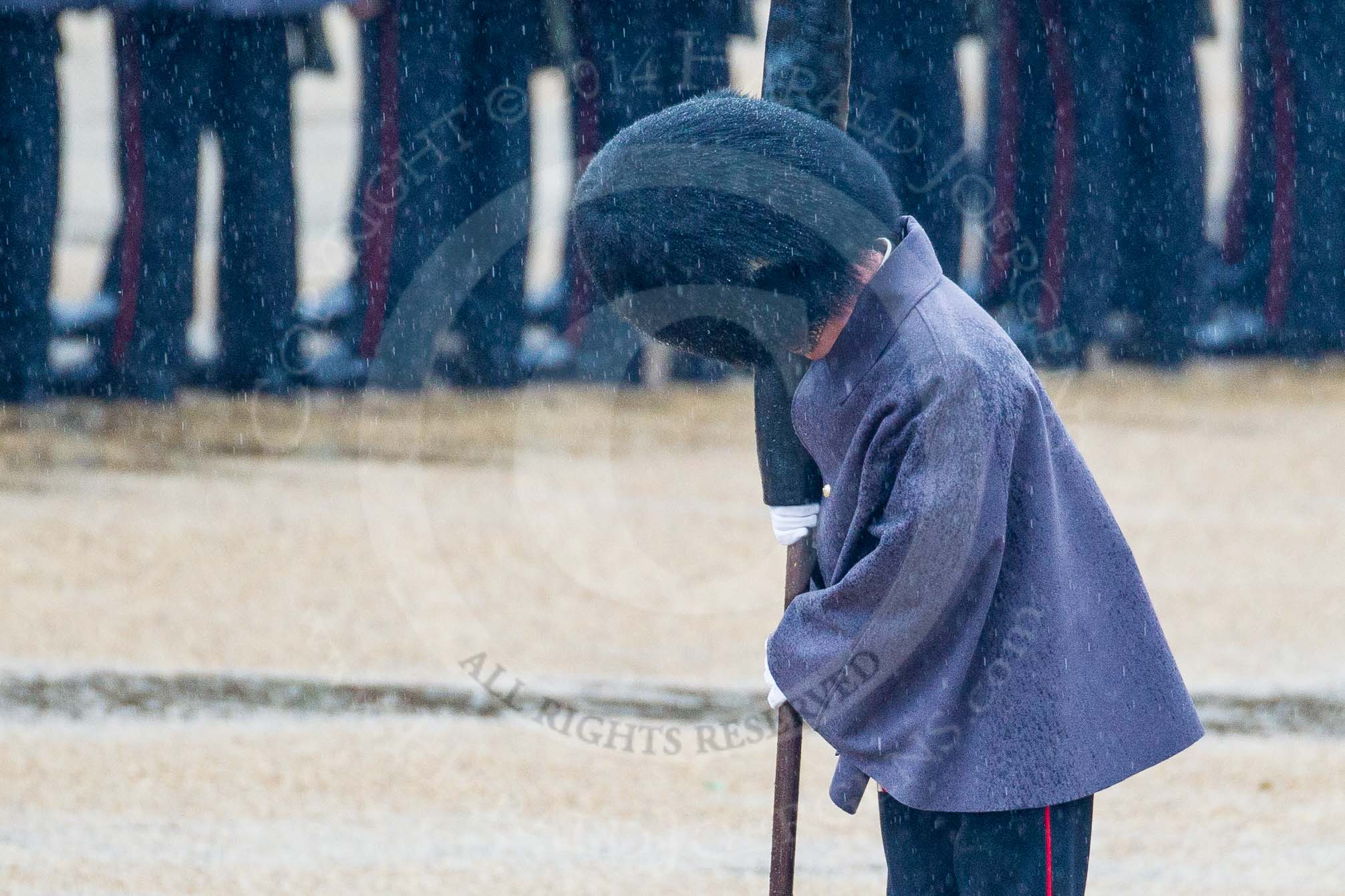 The Colonel's Review 2014.
Horse Guards Parade, Westminster,
London,

United Kingdom,
on 07 June 2014 at 10:20, image #100