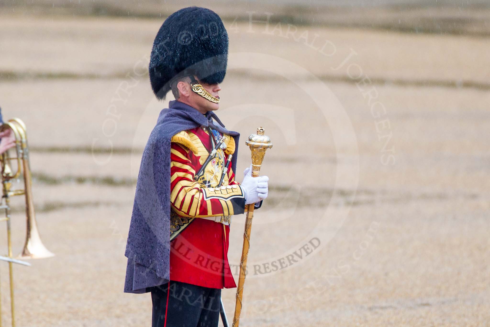 The Colonel's Review 2014.
Horse Guards Parade, Westminster,
London,

United Kingdom,
on 07 June 2014 at 10:23, image #108