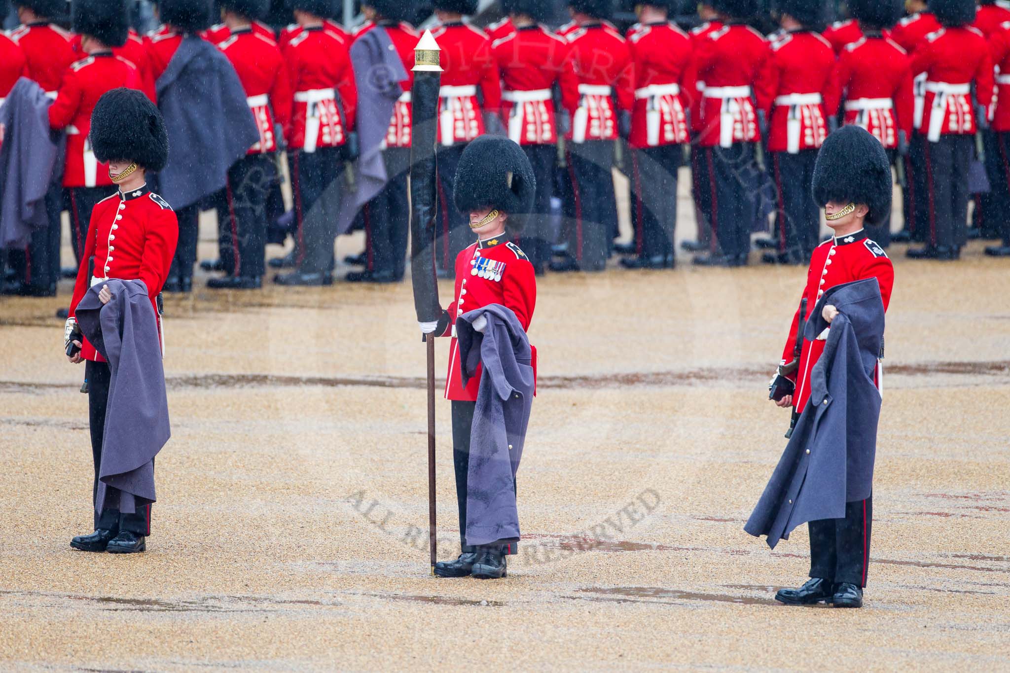 The Colonel's Review 2014.
Horse Guards Parade, Westminster,
London,

United Kingdom,
on 07 June 2014 at 10:25, image #113