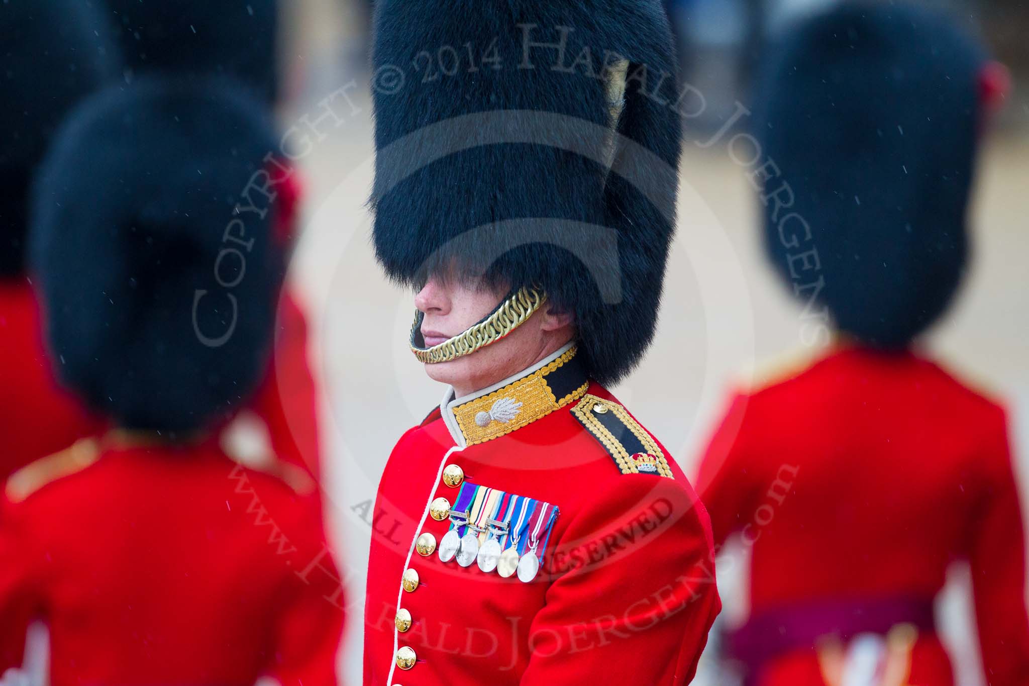 The Colonel's Review 2014.
Horse Guards Parade, Westminster,
London,

United Kingdom,
on 07 June 2014 at 10:33, image #144