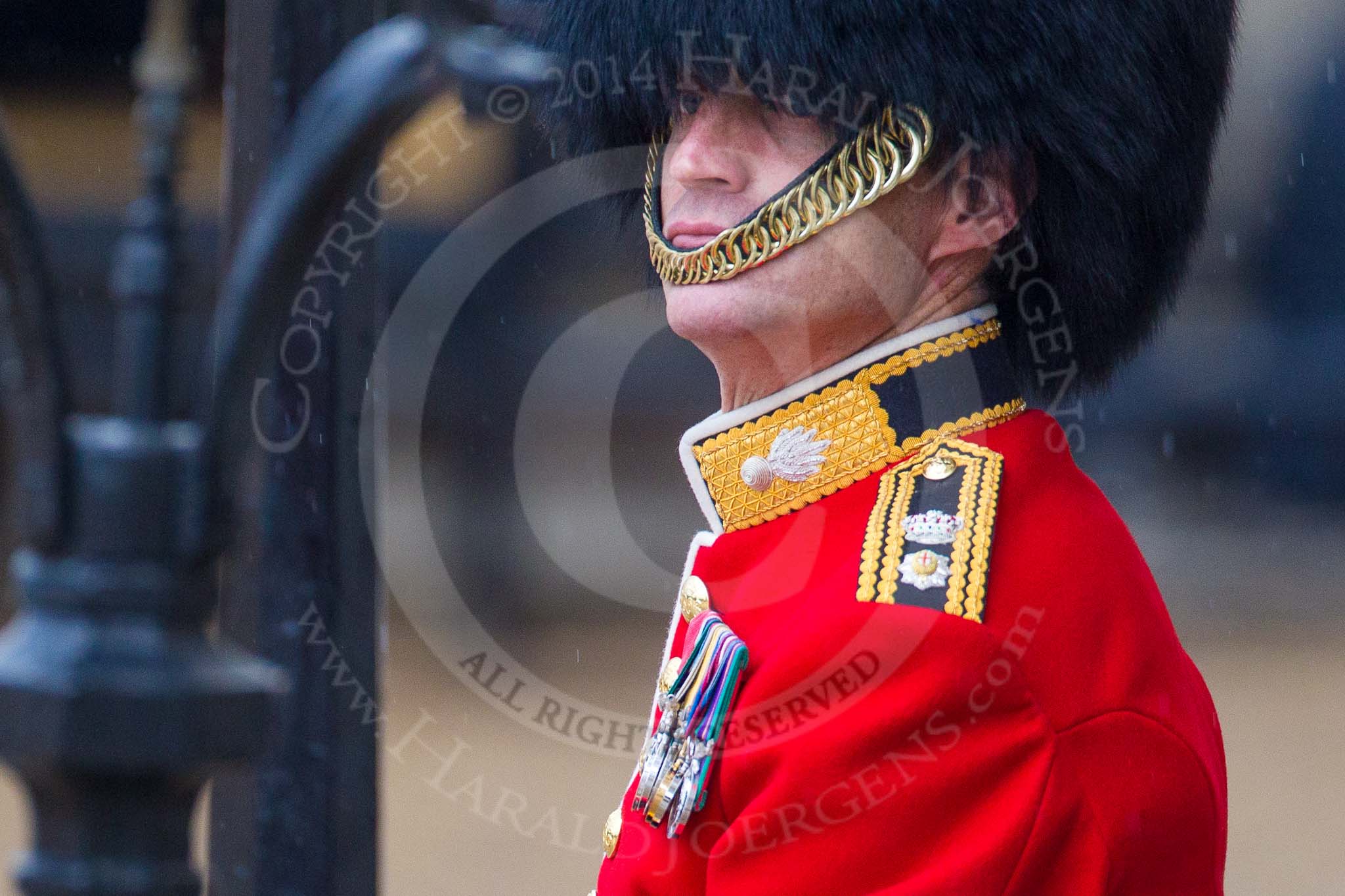 The Colonel's Review 2014.
Horse Guards Parade, Westminster,
London,

United Kingdom,
on 07 June 2014 at 10:33, image #146