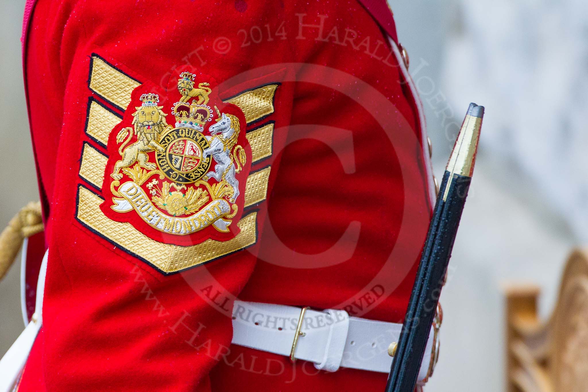 The Colonel's Review 2014.
Horse Guards Parade, Westminster,
London,

United Kingdom,
on 07 June 2014 at 10:34, image #148