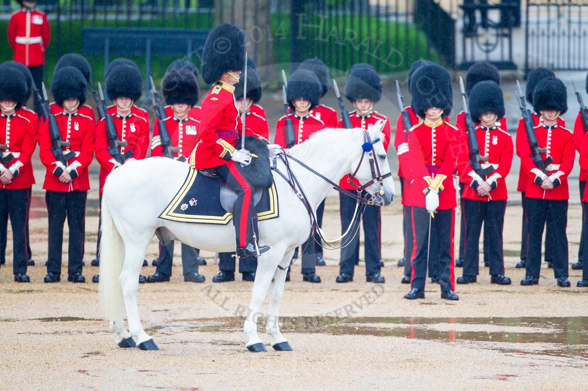 The Colonel's Review 2014.
Horse Guards Parade, Westminster,
London,

United Kingdom,
on 07 June 2014 at 10:41, image #172