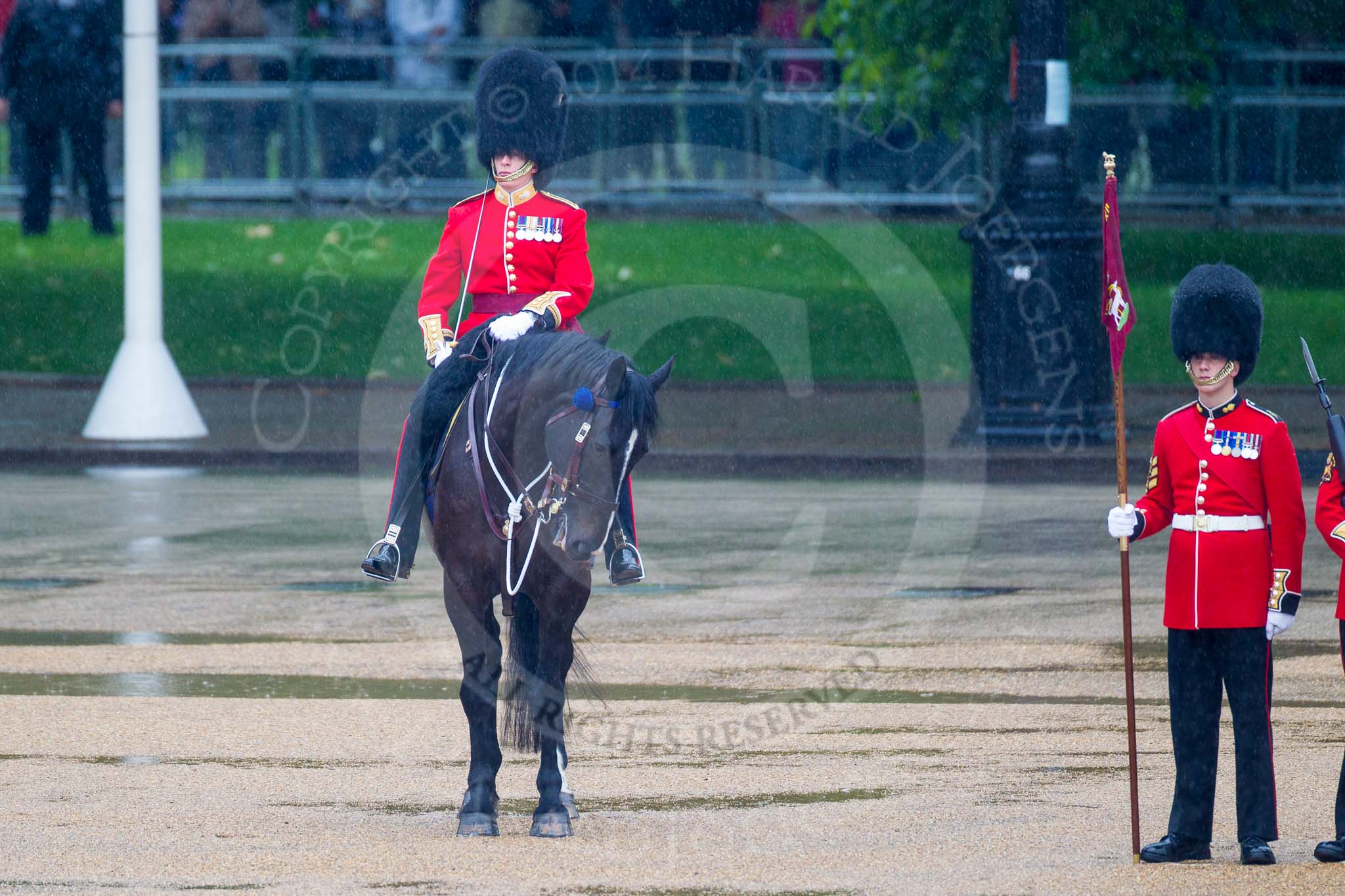 The Colonel's Review 2014.
Horse Guards Parade, Westminster,
London,

United Kingdom,
on 07 June 2014 at 10:43, image #173