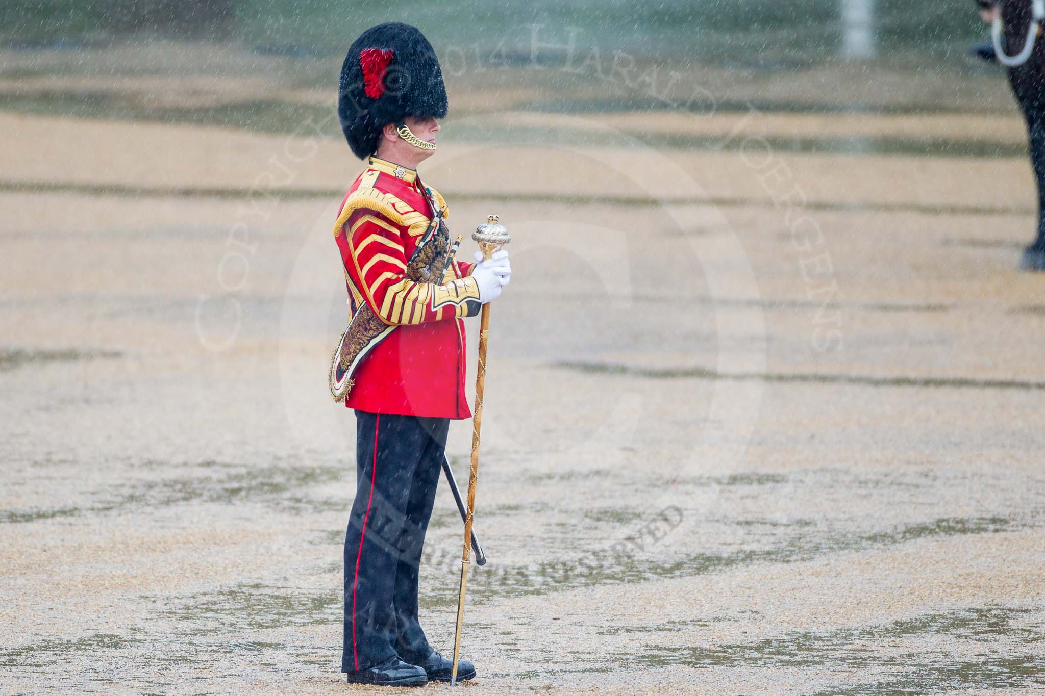 The Colonel's Review 2014.
Horse Guards Parade, Westminster,
London,

United Kingdom,
on 07 June 2014 at 10:45, image #185