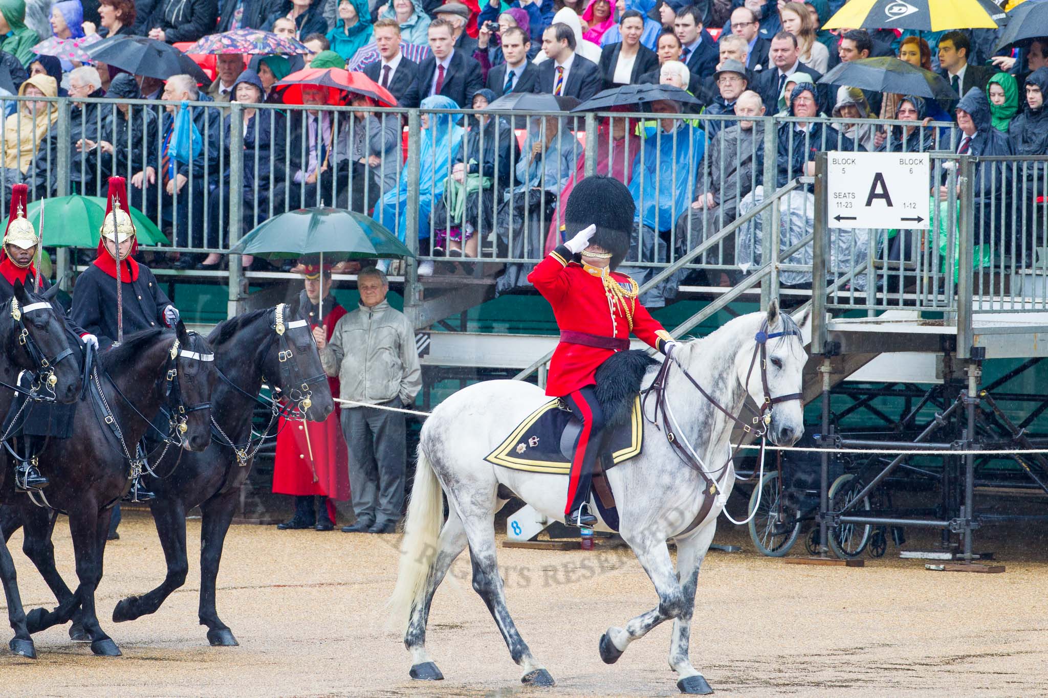 The Colonel's Review 2014.
Horse Guards Parade, Westminster,
London,

United Kingdom,
on 07 June 2014 at 10:56, image #230