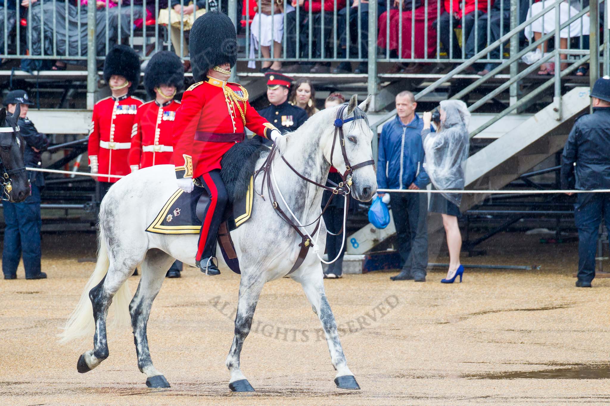 The Colonel's Review 2014.
Horse Guards Parade, Westminster,
London,

United Kingdom,
on 07 June 2014 at 10:56, image #232