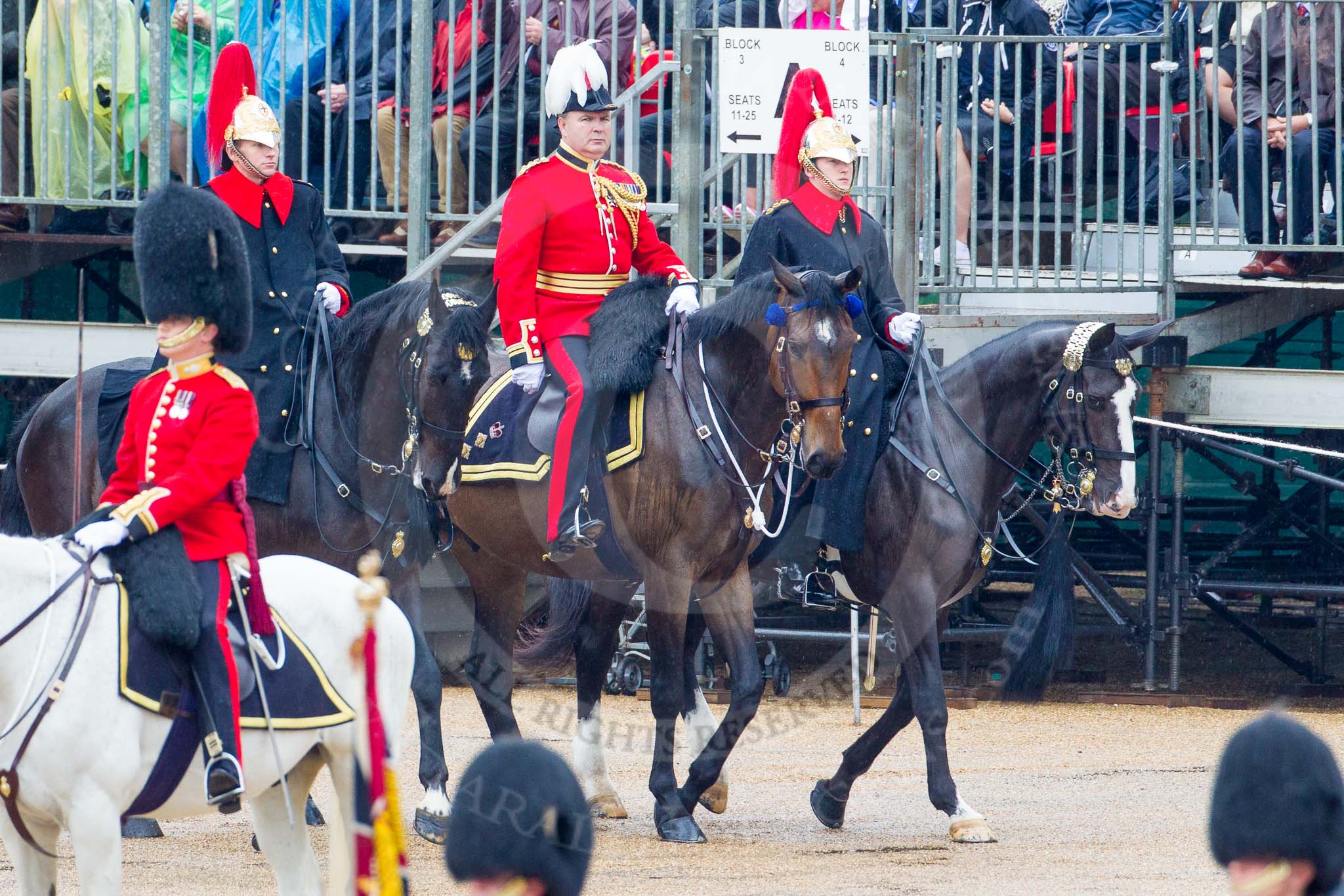 The Colonel's Review 2014.
Horse Guards Parade, Westminster,
London,

United Kingdom,
on 07 June 2014 at 10:58, image #255