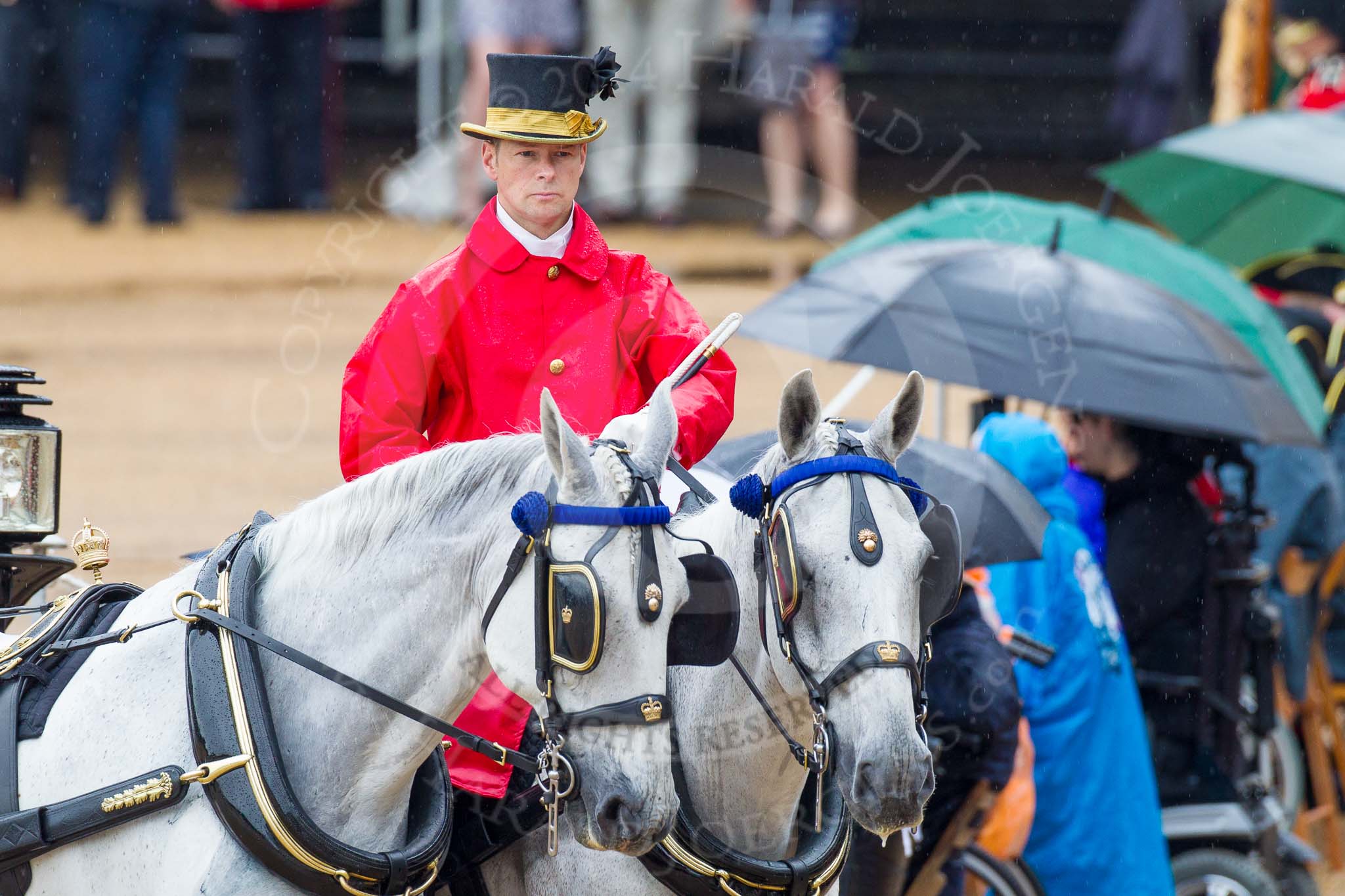 The Colonel's Review 2014.
Horse Guards Parade, Westminster,
London,

United Kingdom,
on 07 June 2014 at 10:59, image #260