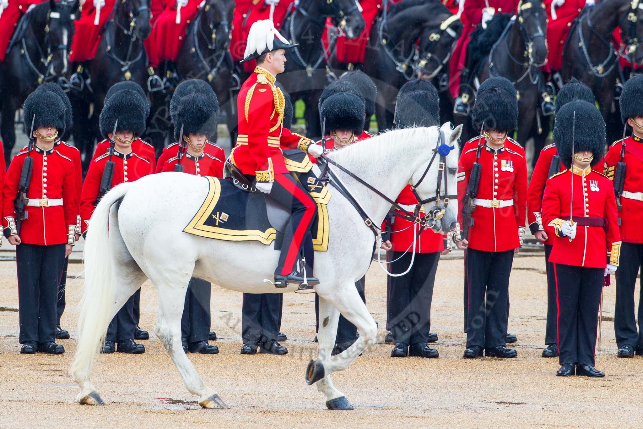 The Colonel's Review 2014.
Horse Guards Parade, Westminster,
London,

United Kingdom,
on 07 June 2014 at 11:02, image #293