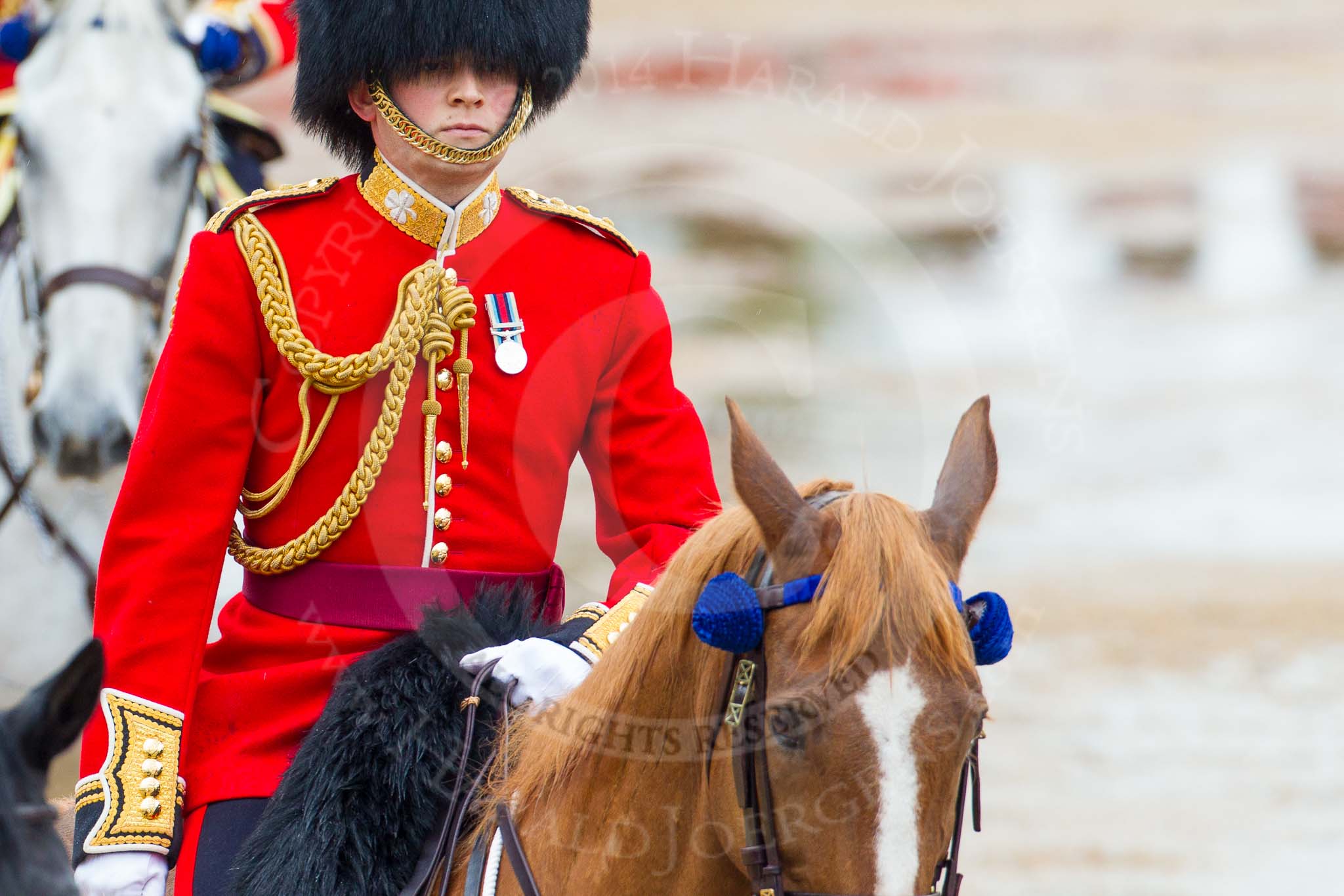The Colonel's Review 2014.
Horse Guards Parade, Westminster,
London,

United Kingdom,
on 07 June 2014 at 11:05, image #304