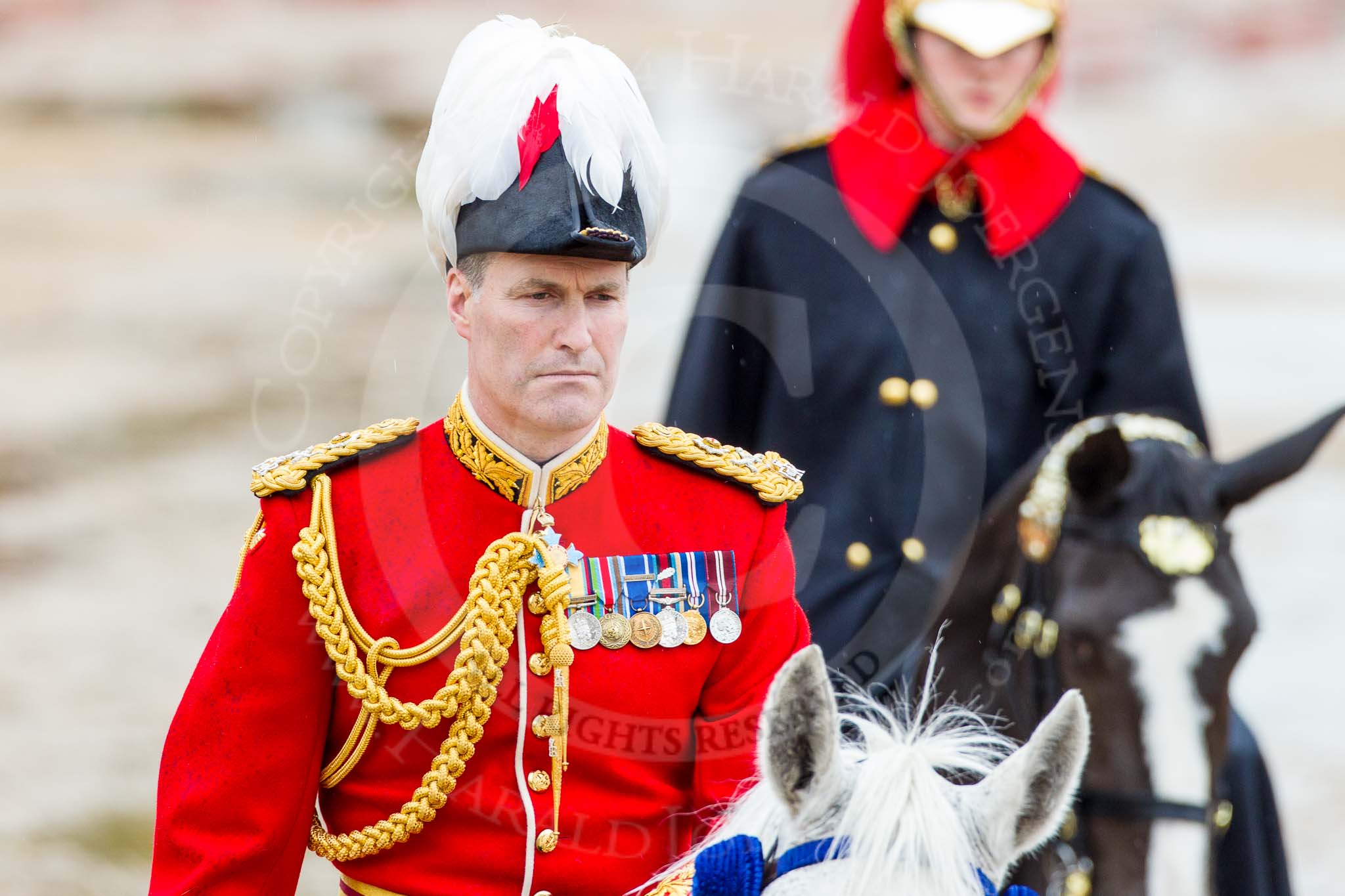 The Colonel's Review 2014.
Horse Guards Parade, Westminster,
London,

United Kingdom,
on 07 June 2014 at 11:06, image #311