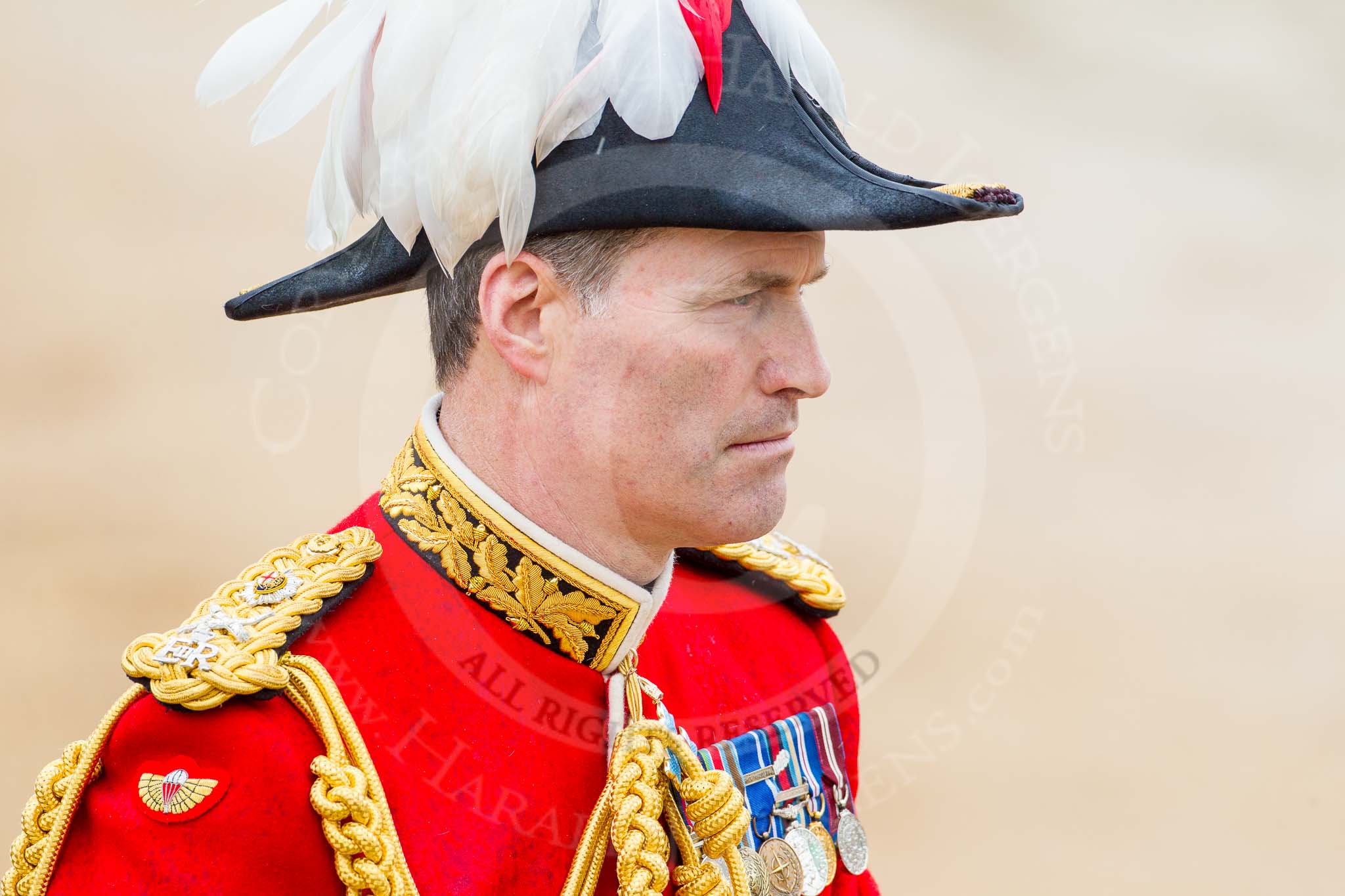 The Colonel's Review 2014.
Horse Guards Parade, Westminster,
London,

United Kingdom,
on 07 June 2014 at 11:06, image #314
