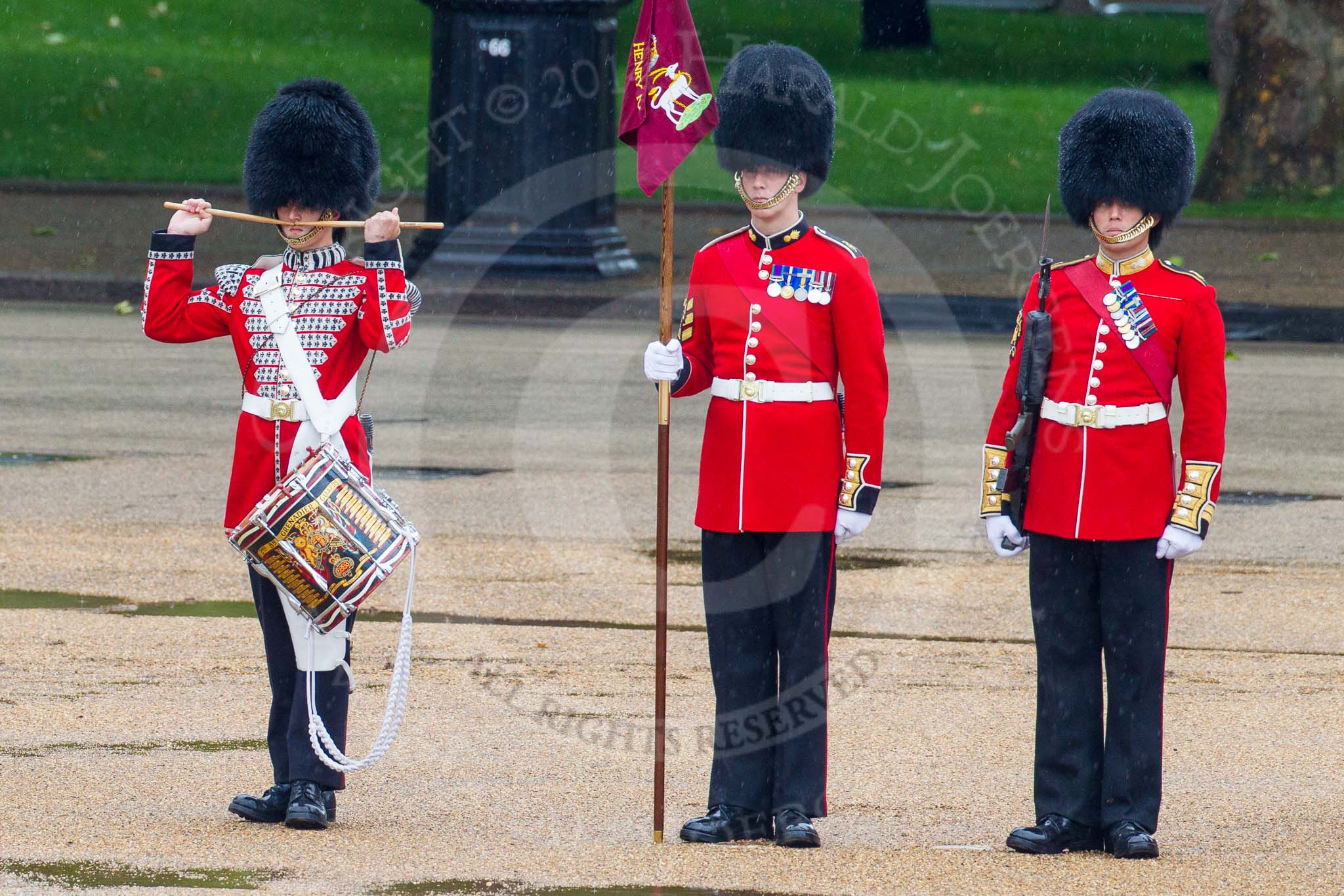 The Colonel's Review 2014.
Horse Guards Parade, Westminster,
London,

United Kingdom,
on 07 June 2014 at 11:14, image #352