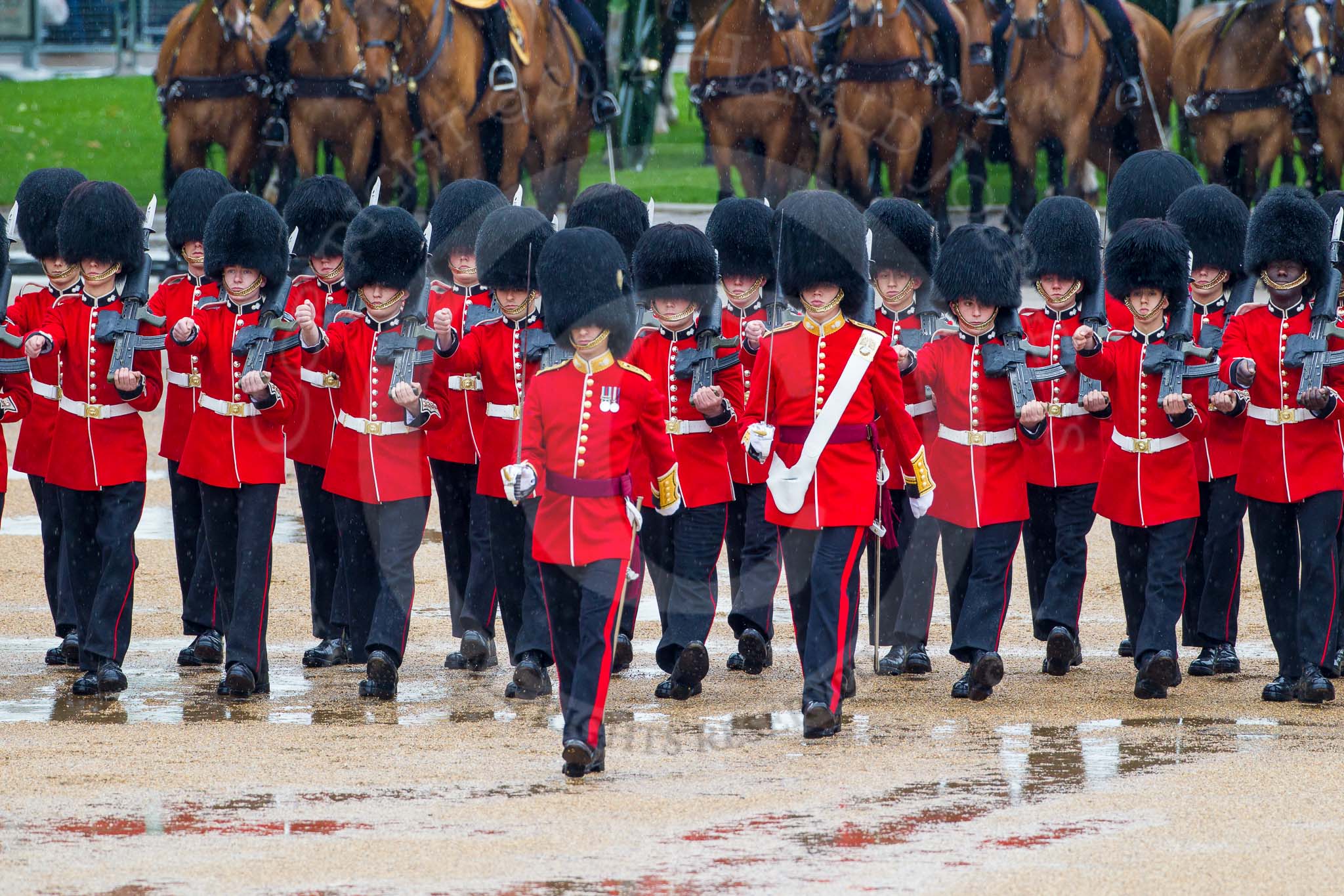 The Colonel's Review 2014.
Horse Guards Parade, Westminster,
London,

United Kingdom,
on 07 June 2014 at 11:15, image #363