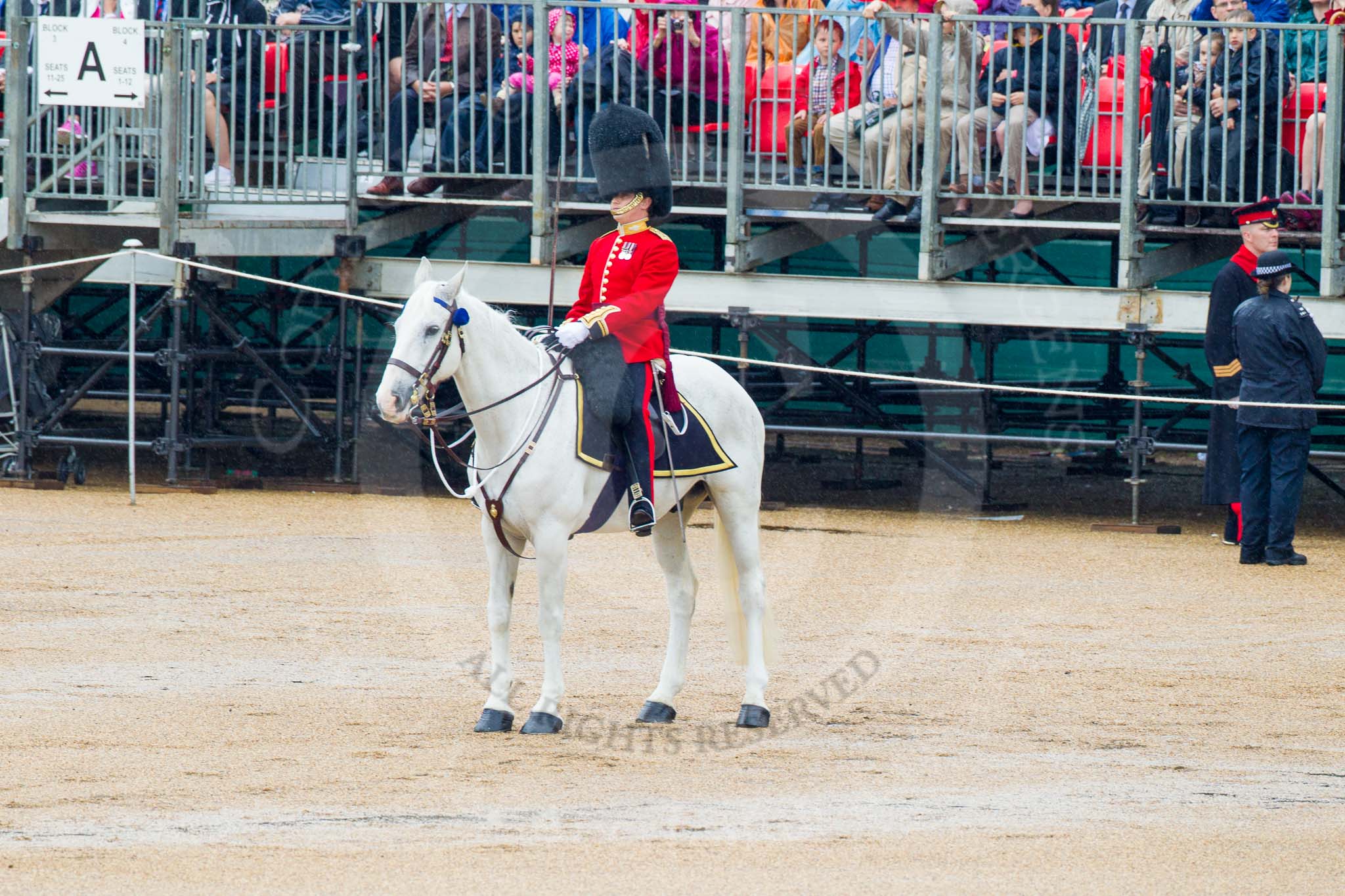 The Colonel's Review 2014.
Horse Guards Parade, Westminster,
London,

United Kingdom,
on 07 June 2014 at 11:22, image #415