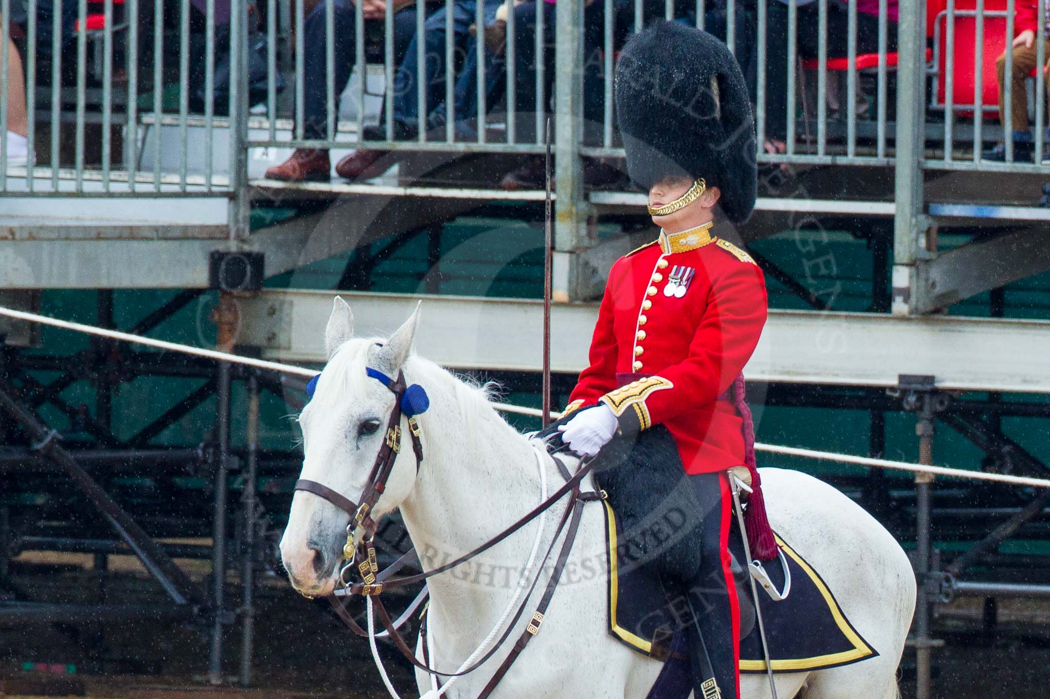 The Colonel's Review 2014.
Horse Guards Parade, Westminster,
London,

United Kingdom,
on 07 June 2014 at 11:22, image #416