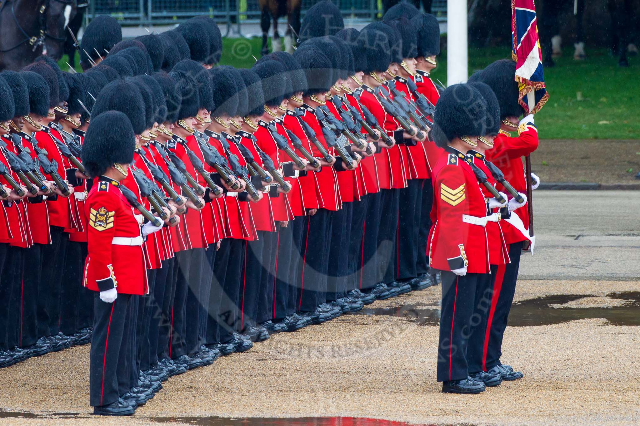 The Colonel's Review 2014.
Horse Guards Parade, Westminster,
London,

United Kingdom,
on 07 June 2014 at 11:29, image #462