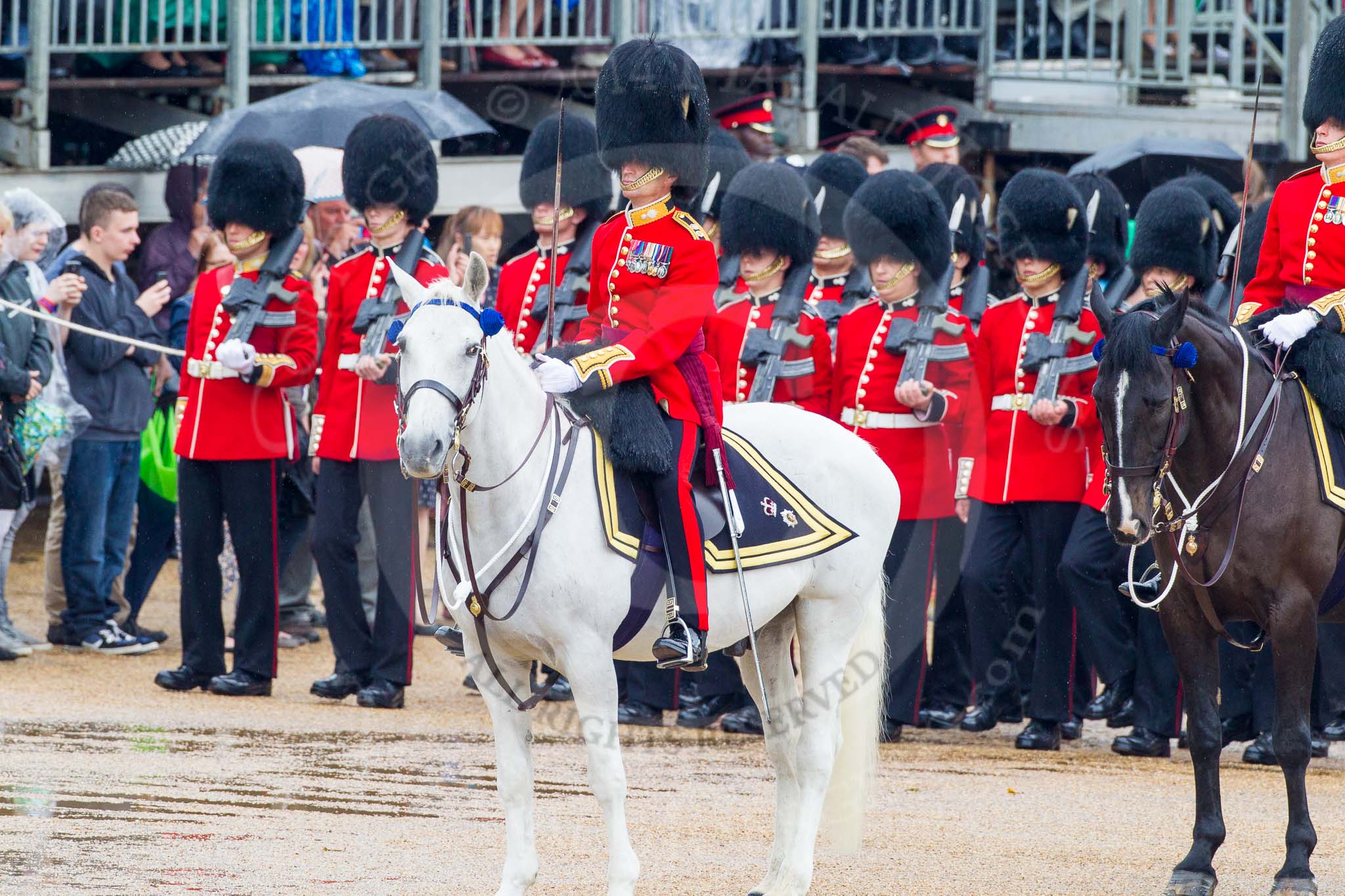The Colonel's Review 2014.
Horse Guards Parade, Westminster,
London,

United Kingdom,
on 07 June 2014 at 11:32, image #467