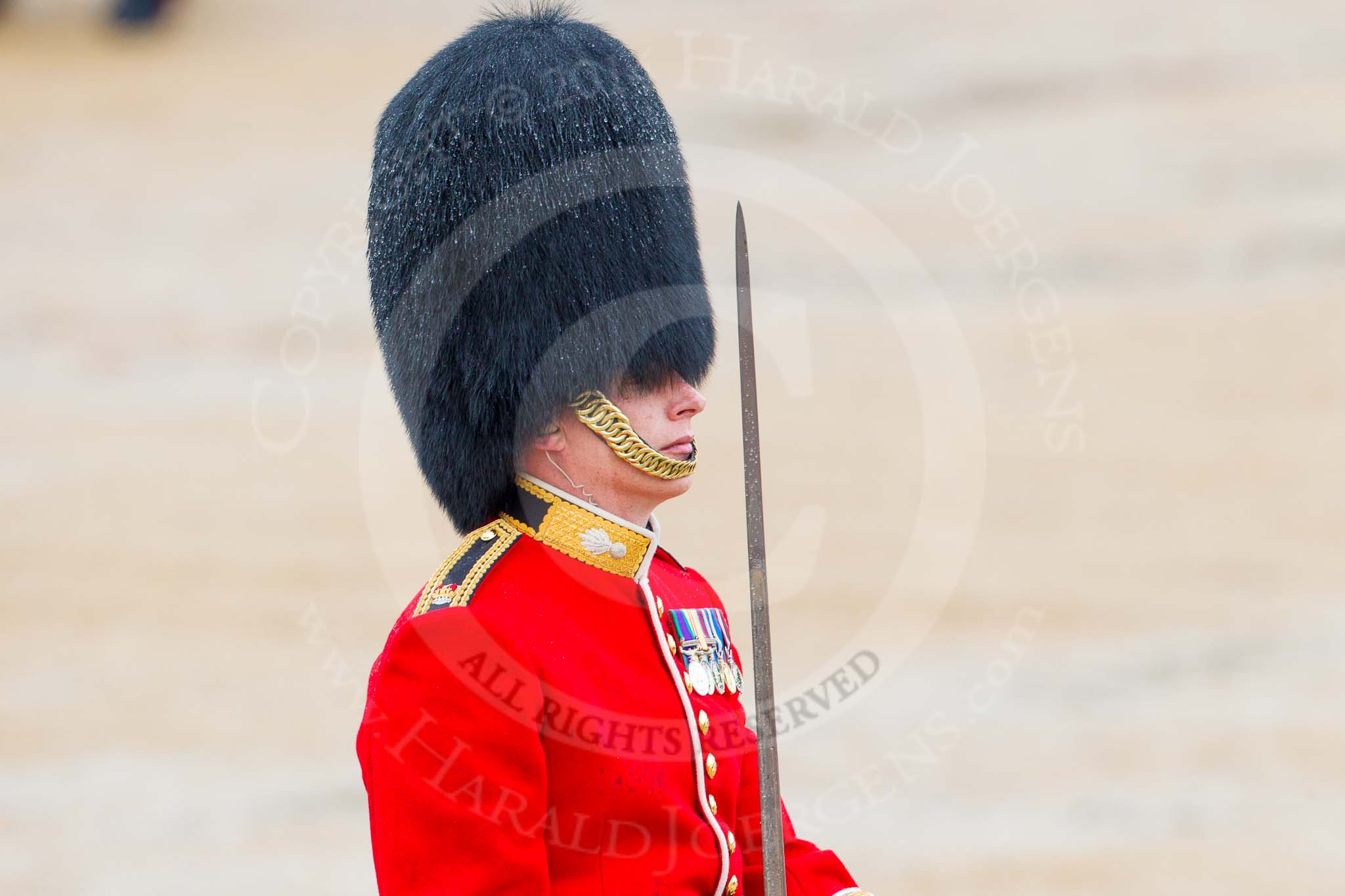 The Colonel's Review 2014.
Horse Guards Parade, Westminster,
London,

United Kingdom,
on 07 June 2014 at 11:34, image #493