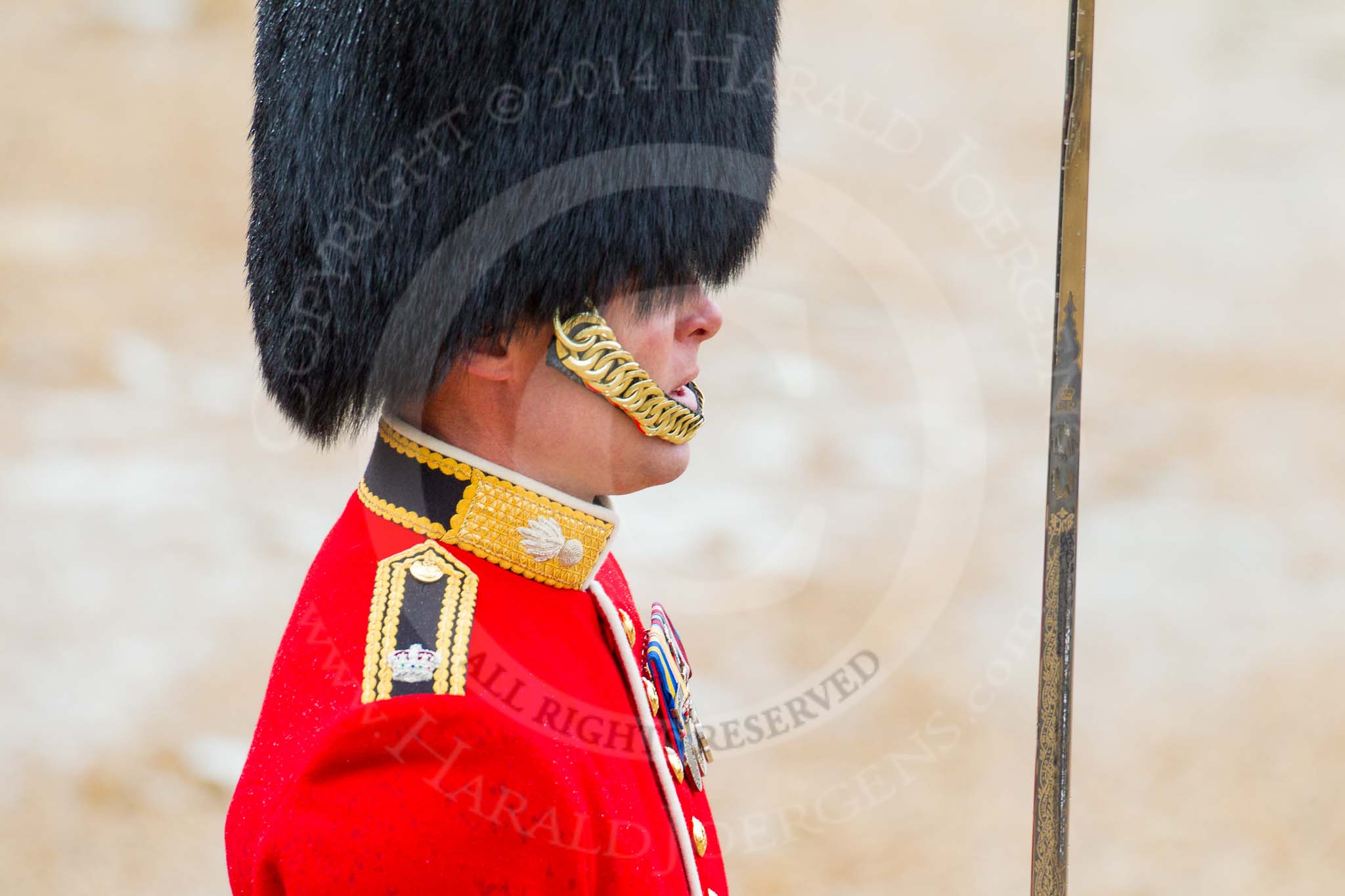 The Colonel's Review 2014.
Horse Guards Parade, Westminster,
London,

United Kingdom,
on 07 June 2014 at 11:35, image #507