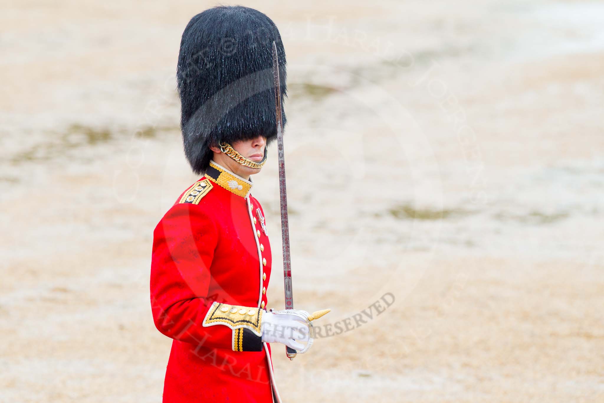 The Colonel's Review 2014.
Horse Guards Parade, Westminster,
London,

United Kingdom,
on 07 June 2014 at 11:36, image #516