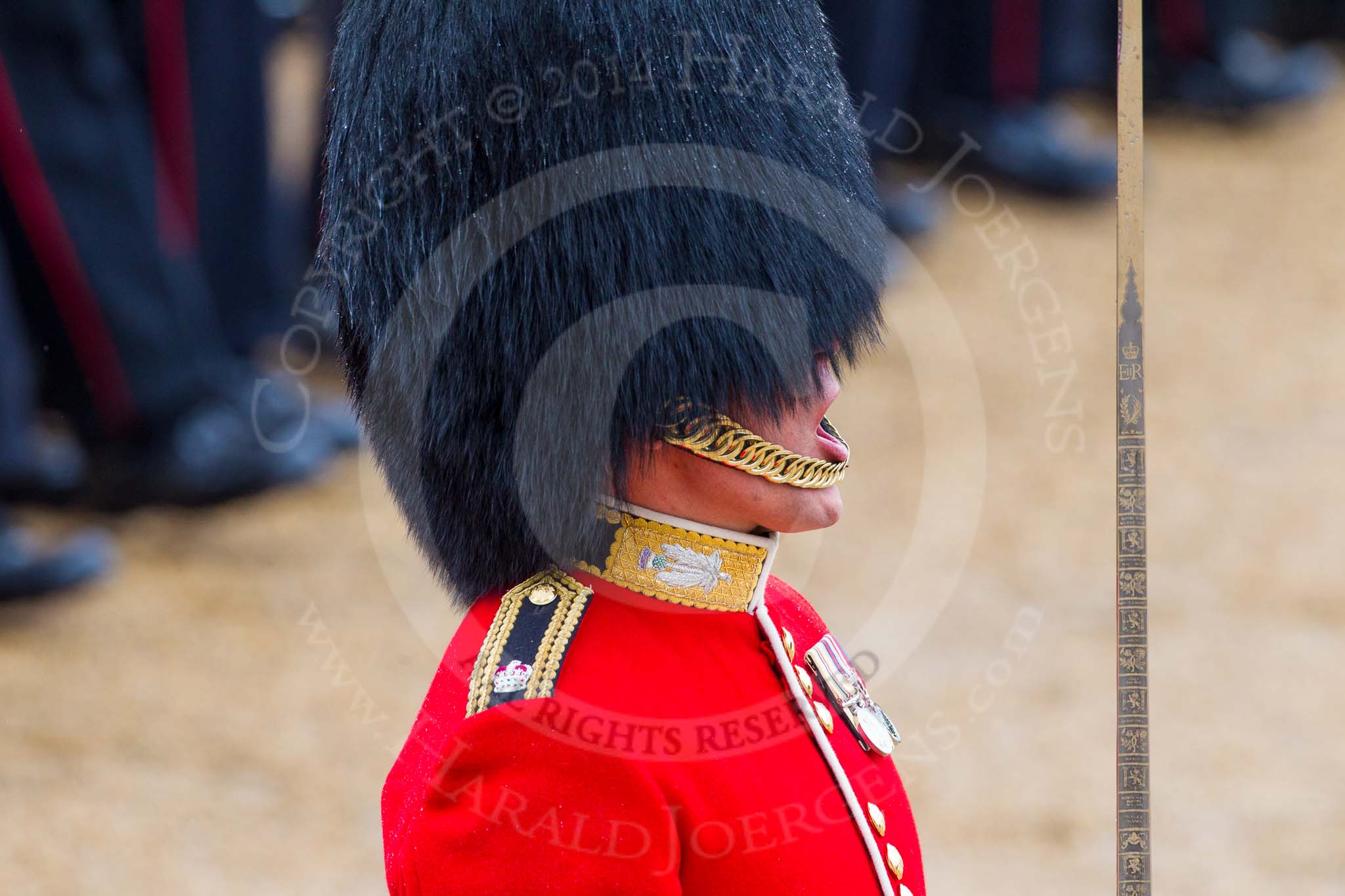 The Colonel's Review 2014.
Horse Guards Parade, Westminster,
London,

United Kingdom,
on 07 June 2014 at 11:36, image #519