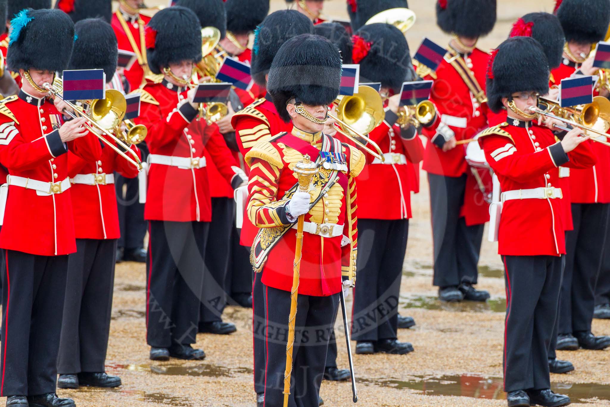 The Colonel's Review 2014.
Horse Guards Parade, Westminster,
London,

United Kingdom,
on 07 June 2014 at 11:38, image #529