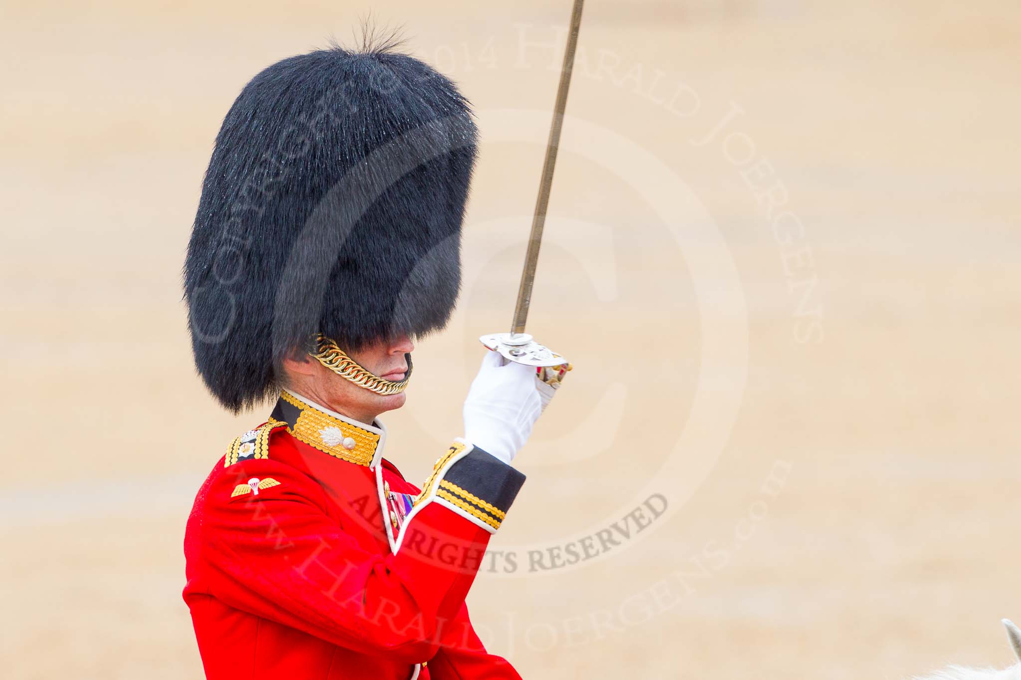 The Colonel's Review 2014.
Horse Guards Parade, Westminster,
London,

United Kingdom,
on 07 June 2014 at 11:38, image #533